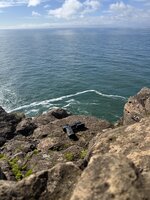 IMG_0888.jpeg
