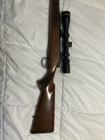 IMG_0264.jpeg