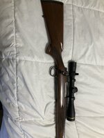 IMG_0262.jpeg