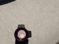 1000008250.jpg