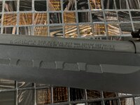 IMG_4251.jpeg