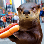 200.gif