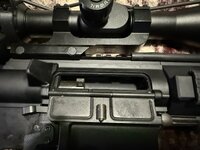 IMG_4608.jpeg