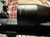 IMG_4612.jpeg