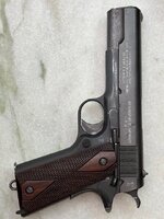 IMG_2333.jpeg