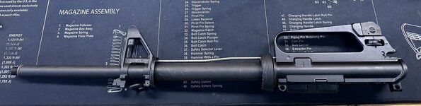 IMG_3490.jpeg