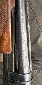 IMG_0831.jpeg