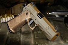 sandhawk_new_main_rt_copy.jpg