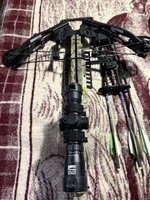 IMG_3950.jpeg