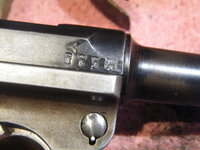 DSCF1273.JPG
