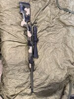 IMG_2175.jpeg