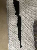 IMG_6719.jpeg