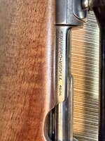 IMG_4831.jpeg