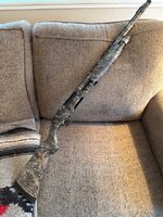 IMG_0212.jpeg