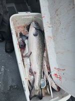 20250906_135629.jpg