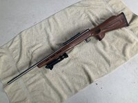 IMG_4310.jpeg