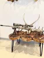IMG_2707.jpeg