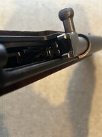 IMG_2925.jpeg