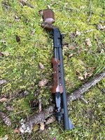 IMG_1901.jpeg