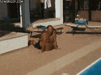 200.gif