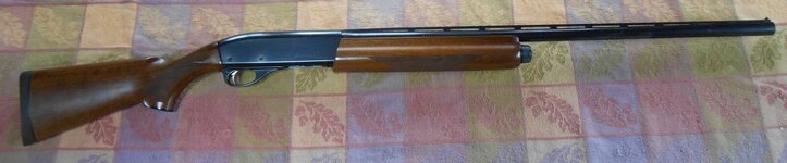 Right Side Full.JPG