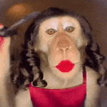 200.gif