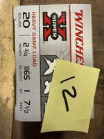 IMG_5879.jpeg