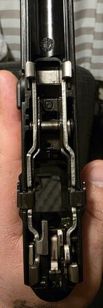 Lower.jpg