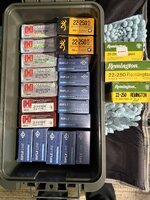 IMG_4523.jpeg