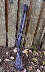 IMG_1987.jpeg