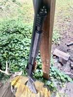 IMG_1936.jpeg