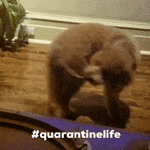 200.gif