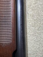 IMG_3920.jpg
