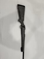 IMG_9503.jpeg