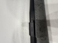 IMG_9508.jpeg