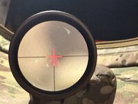 IMG_3500.jpeg