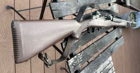 IMG_9674.jpeg