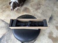 IMG_8029.jpeg