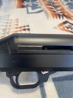 IMG_7907.jpeg