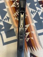 IMG_7909.jpeg