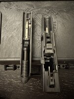 IMG_3909.jpeg