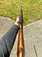 IMG_1044.jpeg