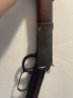 IMG_7955.jpeg