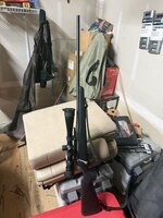 IMG_5356.jpeg