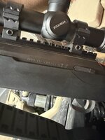 IMG_5355.jpeg