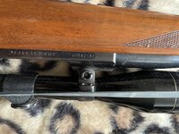 IMG_4908.jpeg