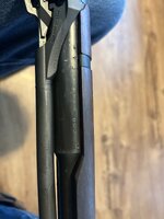 IMG_2541.jpeg