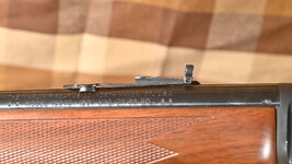 D78_4661.JPG