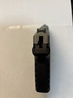 IMG_6558.jpeg