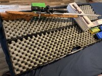 IMG_0373.jpeg